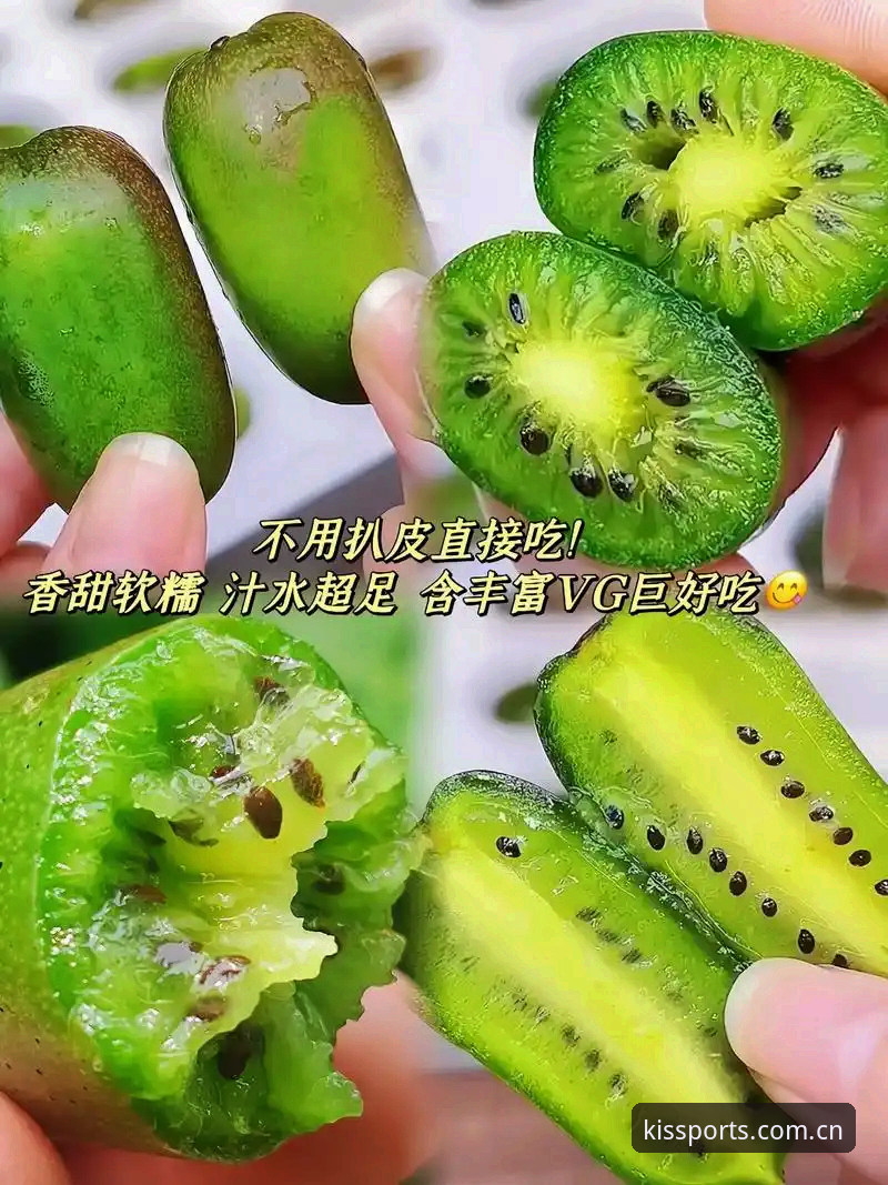 奇异果体育平台技术深度分析：入口、下载与版本选择全面解析