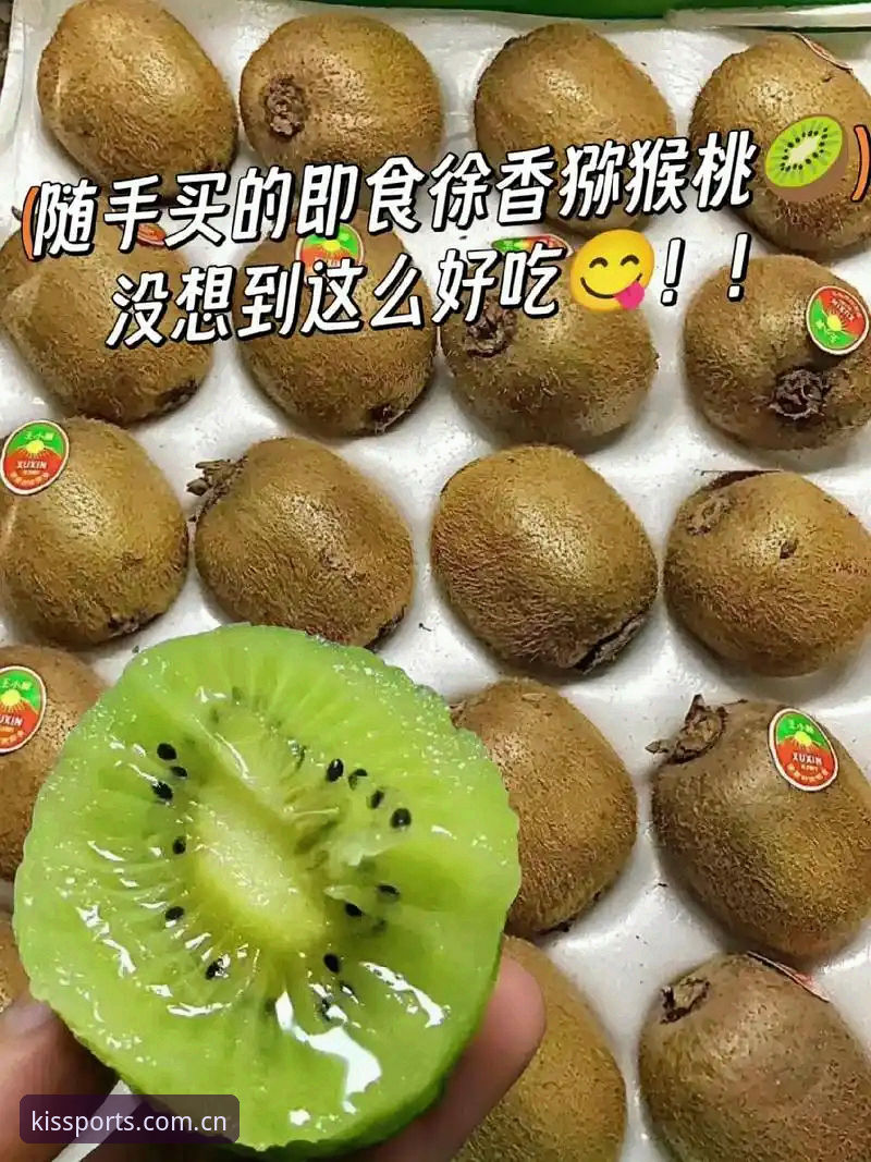 奇异果体育如何注册安装教程：官网下载与第三方渠道对比，哪个更靠谱？