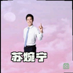 苏婉宁